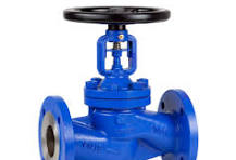 Globe Valve