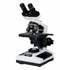 Microscopes & Magnifiers