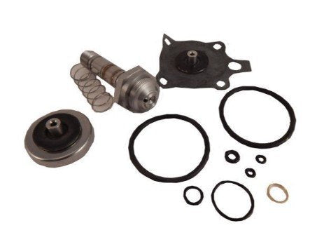 ASCO 316966 | Rebuild Kit | Series 8316
