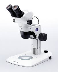 Stereo microscope