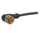 M12 Sensor cable ifm electronic EVC009