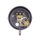 Dwyer Instruments DA-7031-153-6 | Pressure Switch | Brass;5-100 psig;SPDT Snap;Fixed