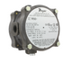 Dwyer Instruments 1950P-25-2F | Differential Pressure Switch | 4-25 psid;1/8" NPT F;Explosion Proof