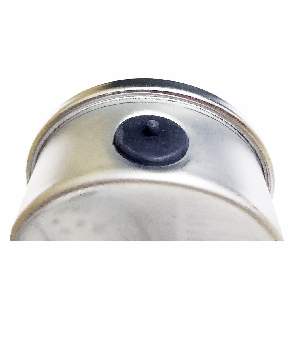 Palmer Wahl SF_Series | Fearless All Stainless Steel Pressure Gauges | 4 in, IP65 - generaltechuae (2)