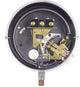 Dwyer Instruments DA-31-2-6 | Pressure Switch | 5-100 PSIG;lower mount;brass;120-240V AC/DC;1/4" NPT M