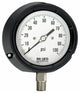 Palmer Wahl TS_Series | Solid Front Process Gauge, Blow-Out Back | 4.5 in, to 60,000 psi - generaltechuae