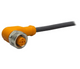 M12 Sensor cable ifm electronic EVC006