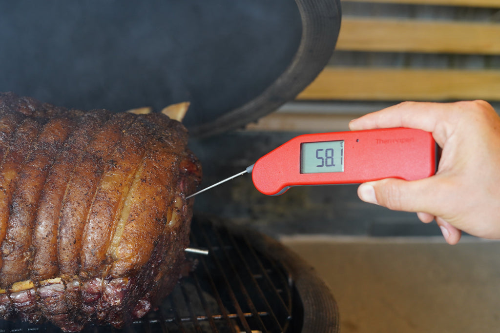 ETI 236-417 | Thermapen NANO | White, 0.4-Second Reading, IP67 - generaltechuae (2)