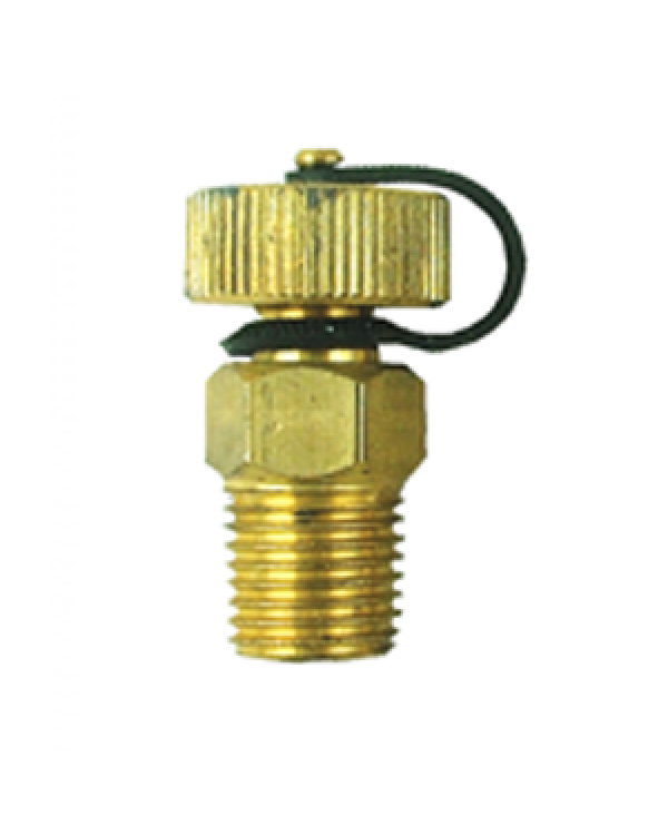 Brannan 39/312/1 | Self-Sealing Test Plug | 1/2" BSPT M, SS316 - generaltechuae
