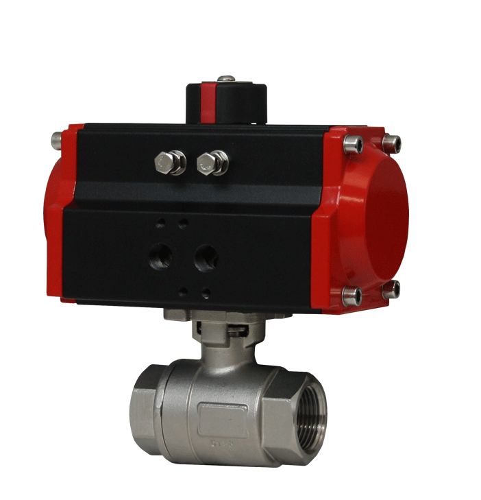 Dwyer Instruments WE01 | 2-Piece NPT stainless steel ball valve