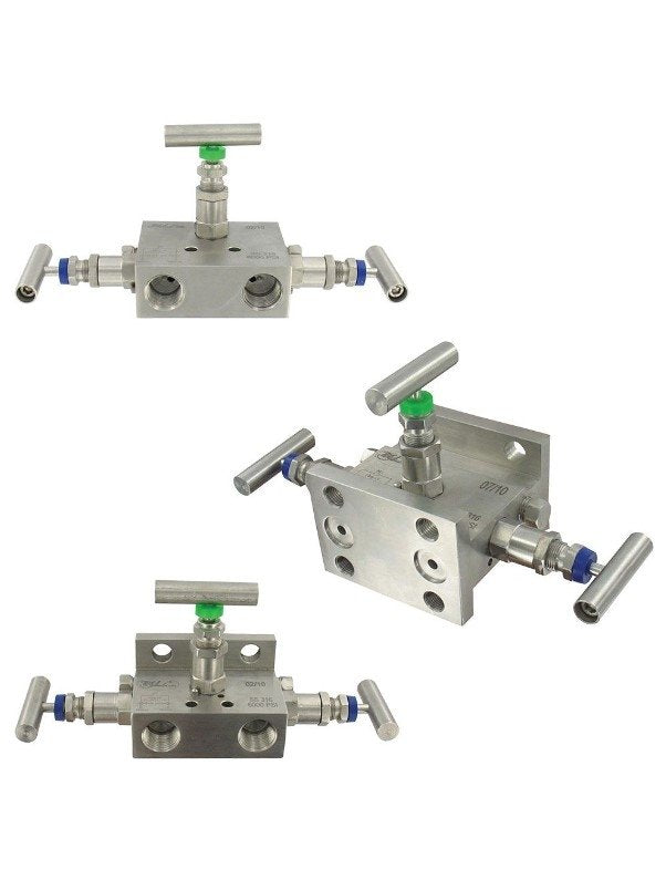 Dwyer Instruments BBV-1D | Double flanged 3-valve block manifold | 316SS