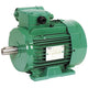 Leroy Somer - 2P LSES 80 L 1.1kW IFT /IE2 380D/400D/415D-460D IP55 - generaltechuae