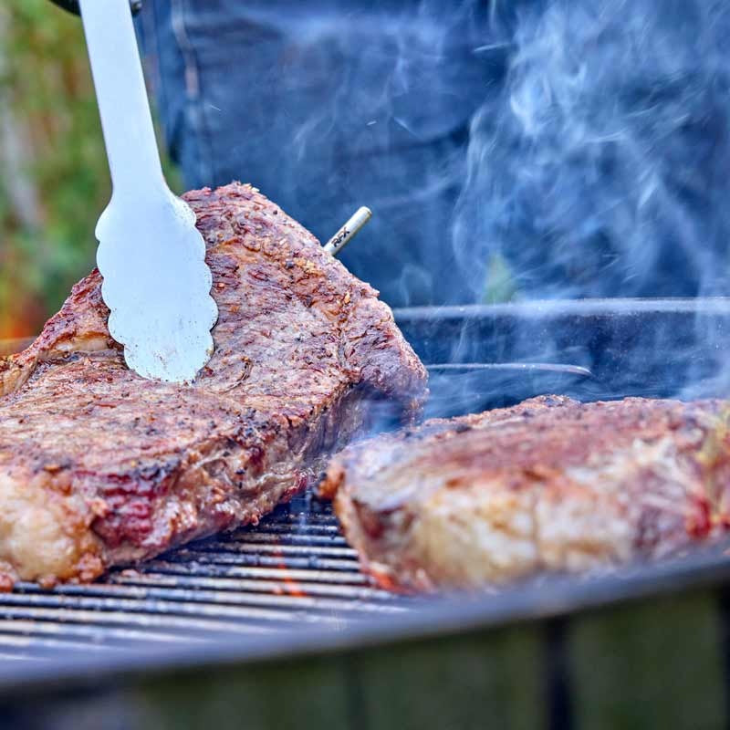 ETI 825-170 | RFX MEAT Wireless Meat Probe | IP69K, 4 Sensors - generaltechuae (4)