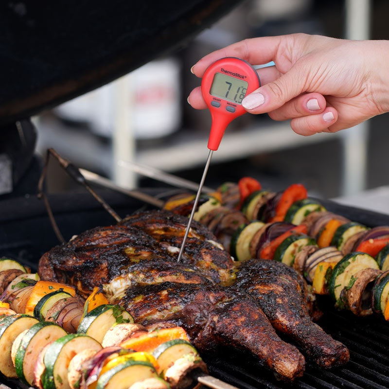 ETI 810-401 | ThermaStick Pocket Thermometer | White, IP66, -49.9 to 299.9 °C - generaltechuae (5)
