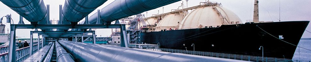 Dakota T-104-2700 | 5 MHz Dual Element Transducer | 1/2 in, Highly Damped, ThruPaint, Potted Side - generaltechuae (2)